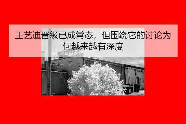 wang-yi-di-jin-ji-yi-cheng-chang-tai-dan-wei-rao-ta-de-tao-lun-wei-he-yue-lai-yue-you-shen-du-2-397.jpg